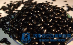 偏方能治疗白癜风吗 偏方能治疗白癜风吗